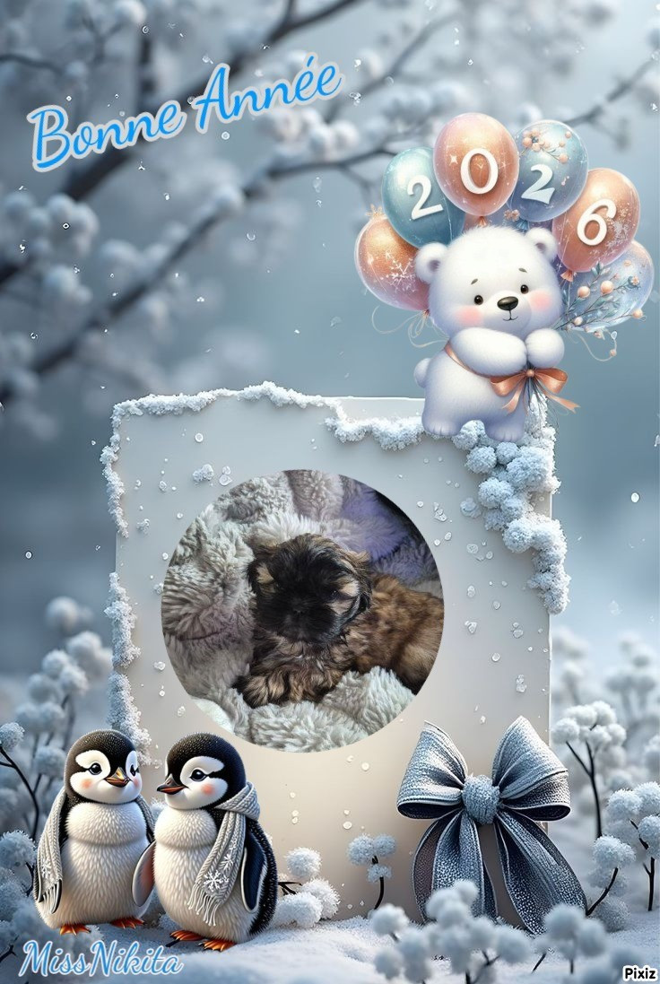 Domaine le Pin Franc - ✨🐾 Bonne et heureuse année 2026 🐾✨