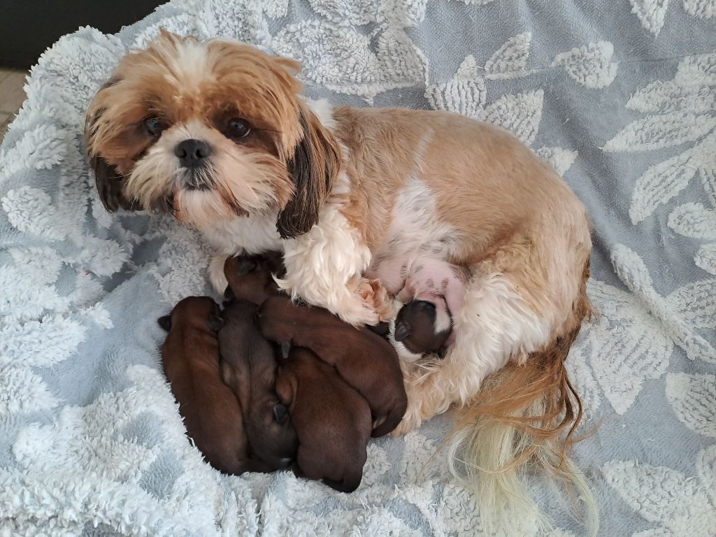 Domaine le Pin Franc - Ils sont là !! 